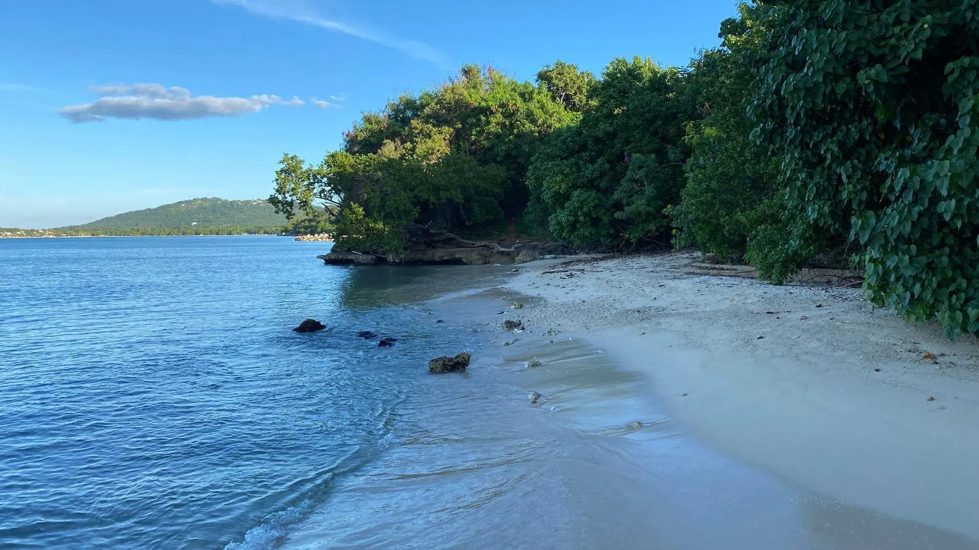 Ocean Breeze Retreat Villa Whitehouse Jamaica