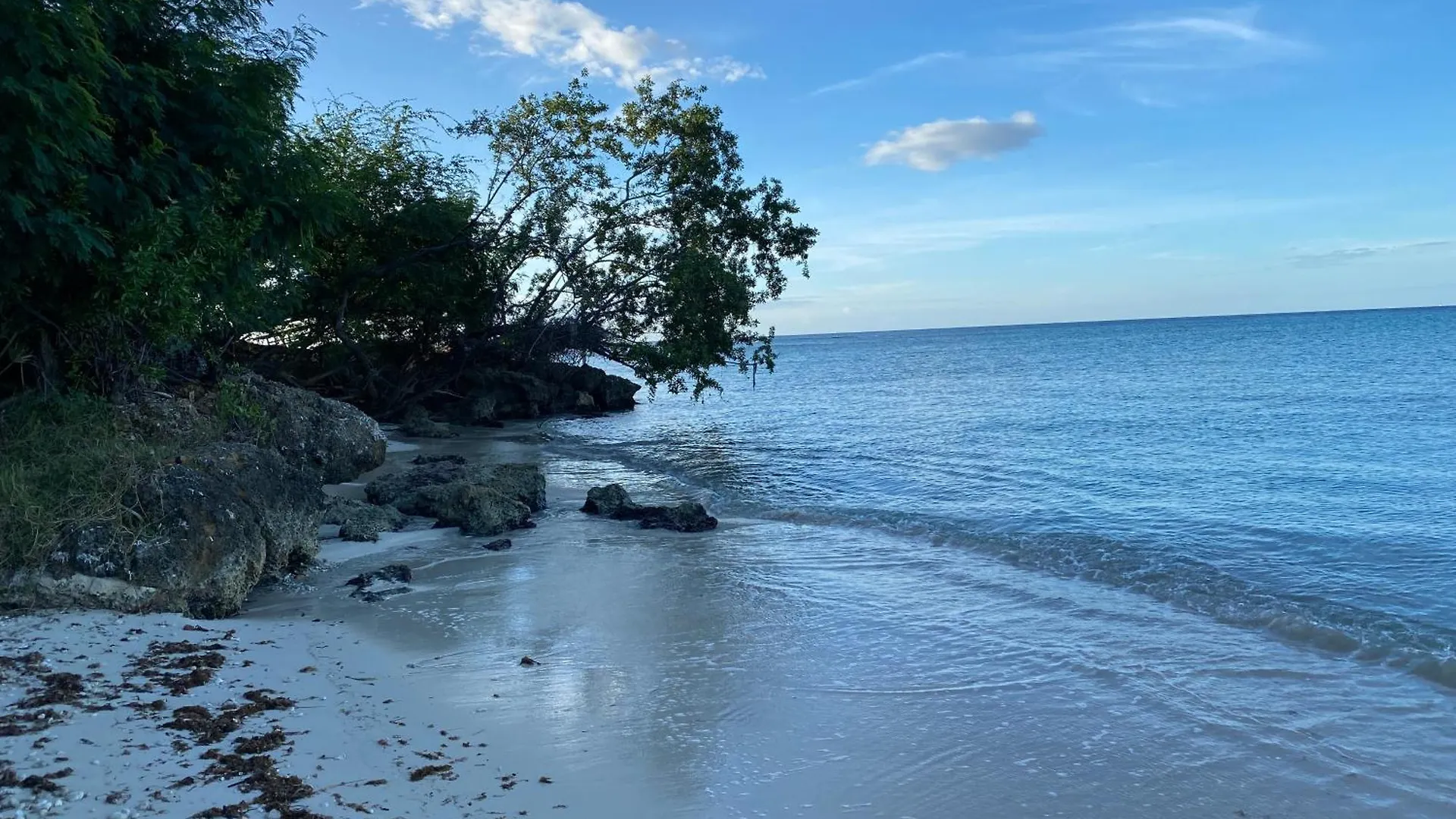 Ocean Breeze Retreat Villa Whitehouse Jamaica